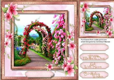 Beautiful Archway of Summer Roses 