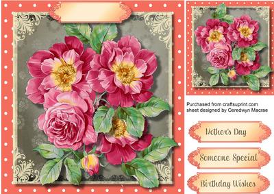 Beautiful Deep Cerise Vintage Roses 