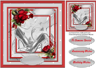 Beautiful Silver Shoes in a Red Frame 
