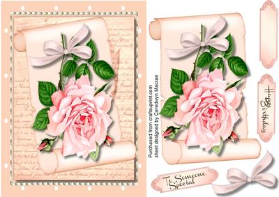 Lovely Pink Rose on a Scroll