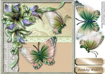 Lovely Butterfly's and Lillie's ,3