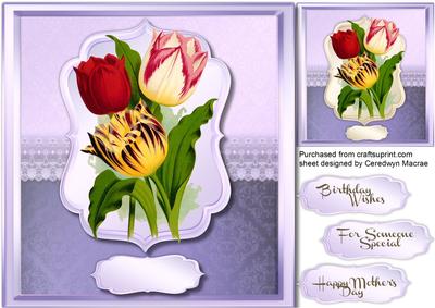 Beautiful Tulips in a Bracket Frame 
