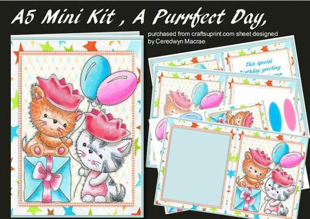 A5 Mini Kit, a Purrfect Day