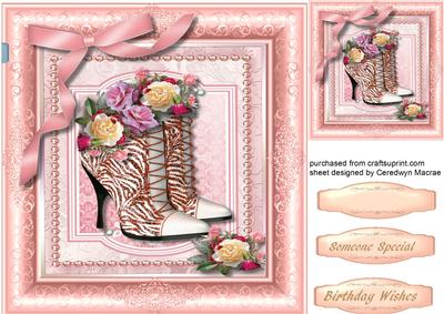 Beautiful Boots in a Pink Frame