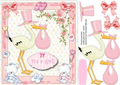 The Stork Has Arrived, It's a Girl