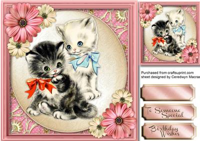 Little Kitty's as Cute as Can Be 