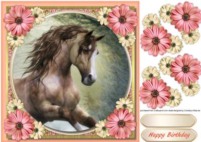 Beautiful Stallion and Daisy's 