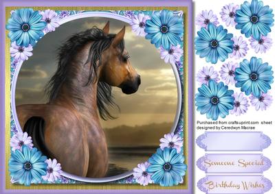 Lovely Stallion with Blue Daisy's 