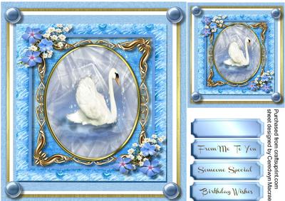 Beautiful Swan in a Gold Frame 