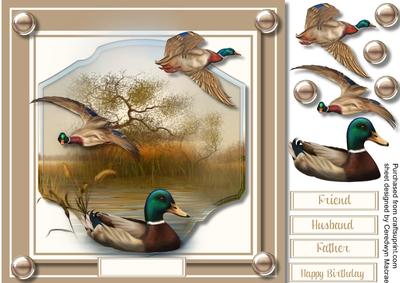 Mallard Ducks in the Reeds 