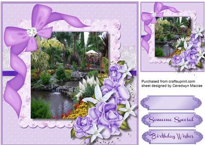 Beautiful Lilac Roses and Garden Scene 