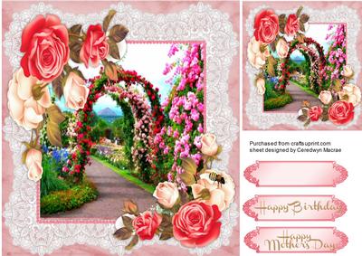 Beautiful Garden of Roses 