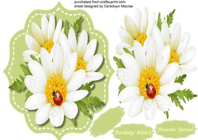 Lovely Topper with Daisy's and Ladybird