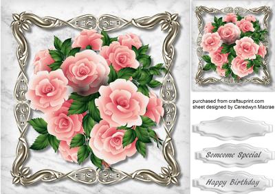 Lovely Pink Roses in a Ornate Frame 