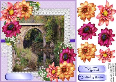 Beautiful Dahlias and Scene 