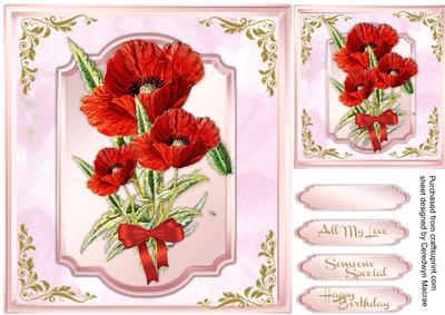 Stunning Poppies in a Bracket Frame 