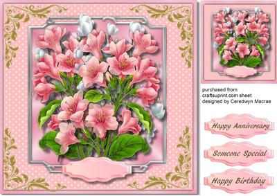 Beautiful Flowers for a Special Occassions, 