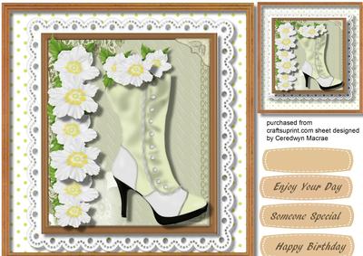 Lovely Boots in a Lace Frame 
