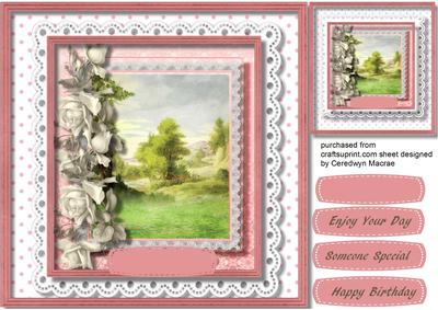 Beautiful Scene in a Lace Frame