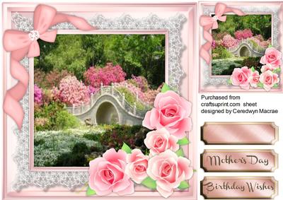 Beautiful Pink Roses on a Lace Frame 
