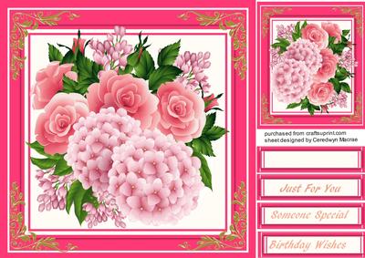 Beautiful Pink Roses on a Hot Pink Frame 