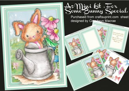 A5 Mini Kit ,for Some Bunny Special