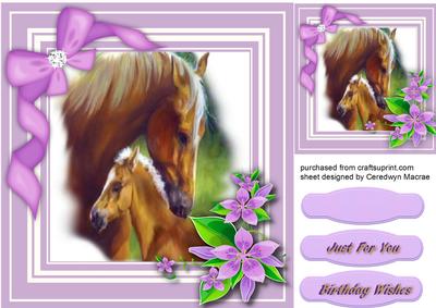 Beautiful Mother and Foal