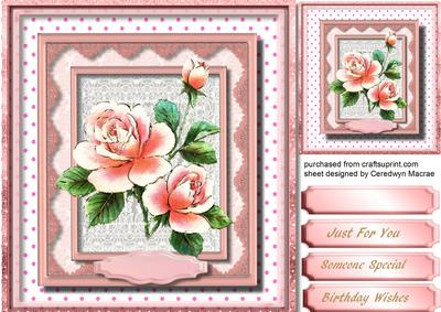 Lovely Roses in a Lace Frame 