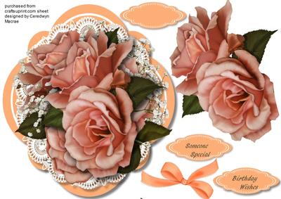 Apricot Roses in a Quadrefoil Mat