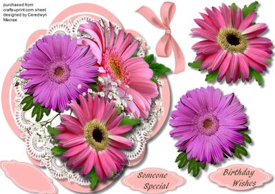 Lovely Flowers on a Quadrefoil Mat