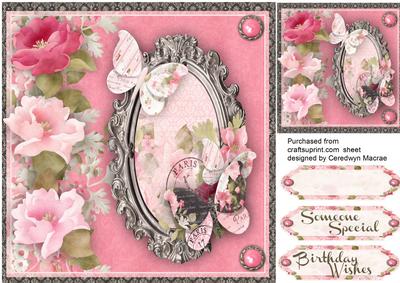 Beautiful French Roses and Butterfly's 
