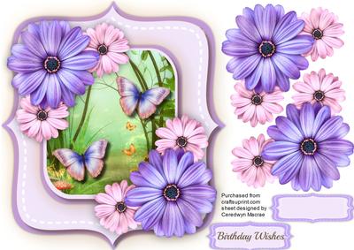 Beautiful Lilac and Pink Daisy and Butterfly's 