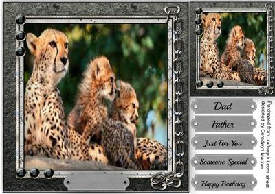 Beautiful Cheetah and Young 