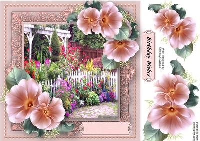Beautiful Roses and Garden 