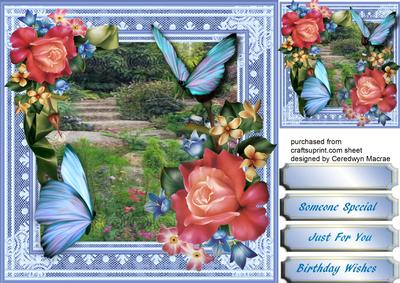 Beautiful Roses and Blue Butterfly's