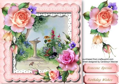 Lovely Pink Roses and Scene 