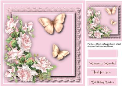 Lovely Pink Roses and Butterfly's 