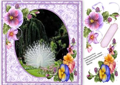 Lovely White Peacock and Pansy's