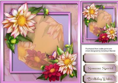 Beautiful Dahlia's for Someone Special
