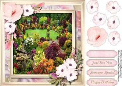 Beautiful Anemone's and Spring Garden