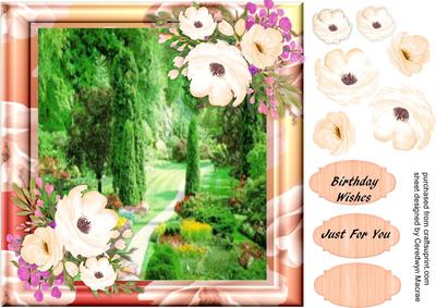 Lovely Japanese Garden and Anemone's