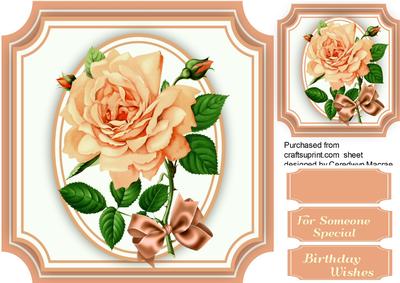 Beautiful Peach Roses on a Cut Out Mat 