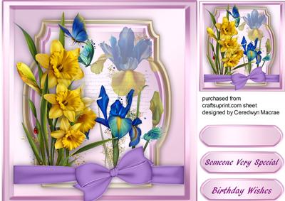 Beautiful Daffodils and Irises 