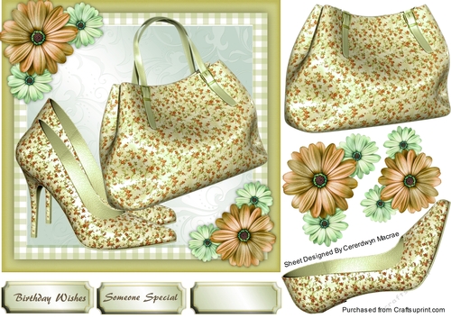 Lovely Beigesummer Shoes and Bag 2