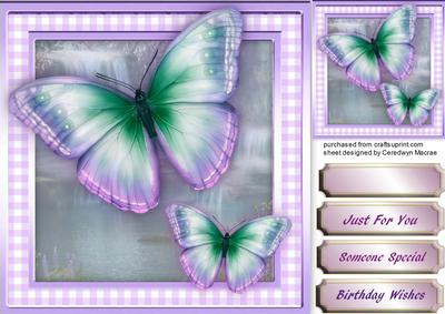 Stunning Butterfly's in Lilac and Aqua 