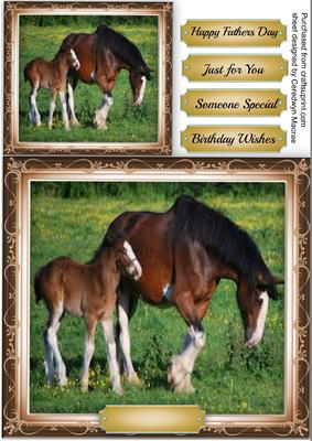Beautiful Clydesdale Horse with Foal
