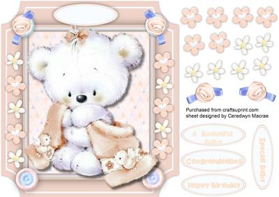 Baby Teddy Wrapped in There Peach Blanket 