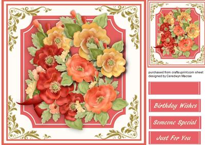 Lovely Mixed Poppy's on a Cut Out Mat 