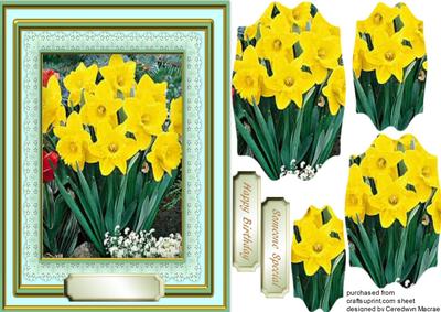 Beautiful Daffodils in Shaped Pyramid