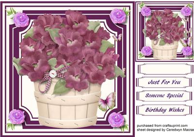 Lovely Plum Flowers in a Tub
